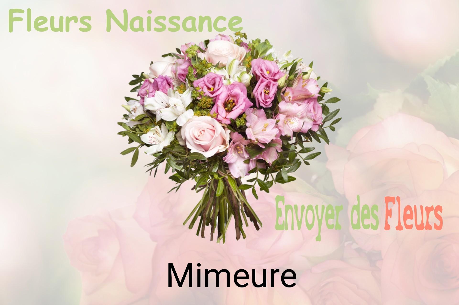 Bouquet de fleurs de naissance livré à Mimeure